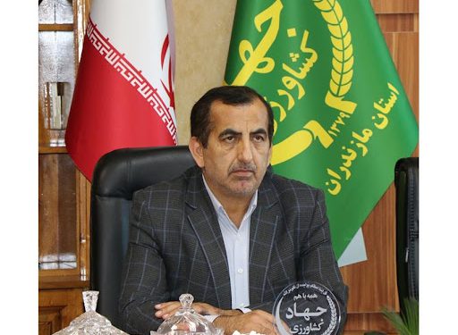 برداشت ارقام محلی و میان رس برنج در مازندران پایان یافت