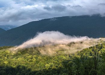 خواب زدگان!